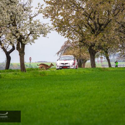 Chystáme Rally Mělník 2026