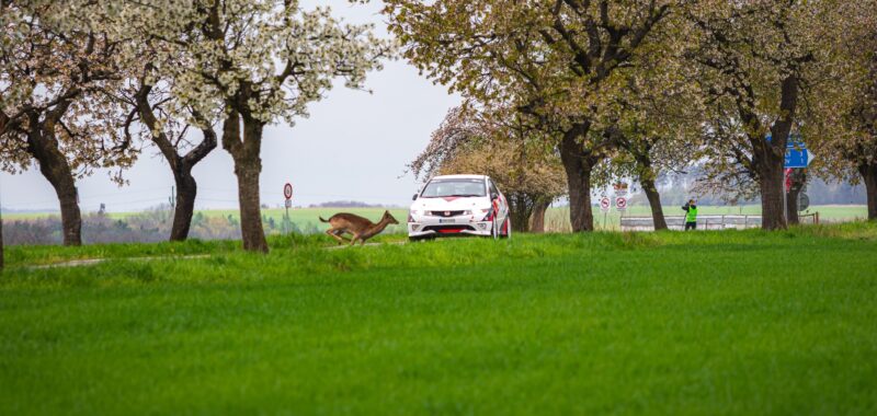 Chystáme Rally Mělník 2026